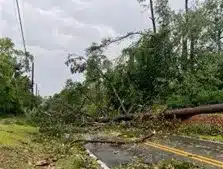 Tally After Hurricane Street Image